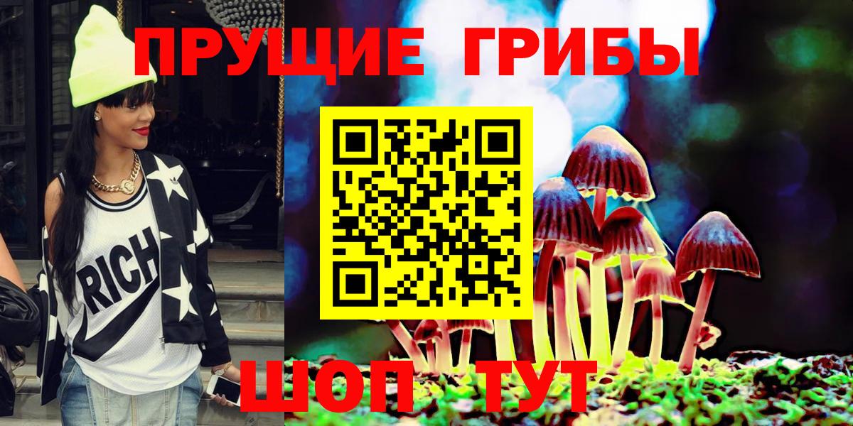 Псилоцибиновые грибы Cubensis  Псилоцибиновые грибы GOLDEN TEACHER  Грозный  Вход с VPN 